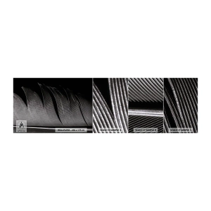 Fototapeta Próbka Standard Eco - Pióro – cudowna konstrukcja - Pióro, Minimalizm, Lekkość - 100x30 cm