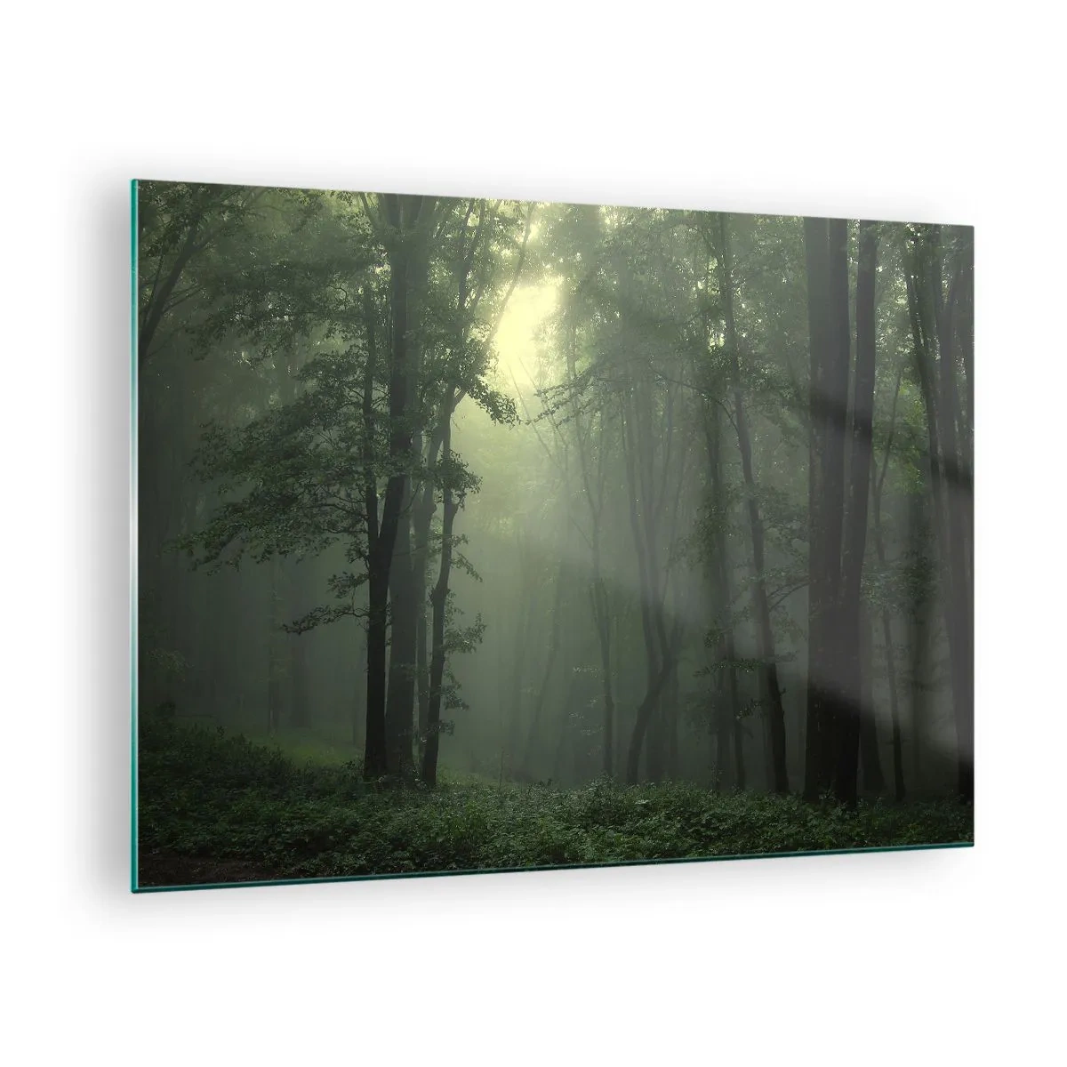 Obraz na szkle - Mroczny las spowity mgłą z promieniami światła - 70x50cm - Zanim się obudzi - Nowoczesna dekoracja ścienna do salonu i sypialni ARTTOR