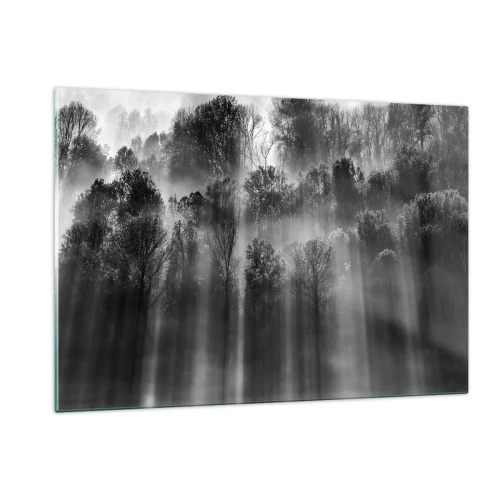 Obraz na szkle - Czarno-białe promienie światła przenikające przez las - 120x80cm - W strumieniach światła - Nowoczesna dekoracja ścienna do salonu, kuchni i sypialni ARTTOR