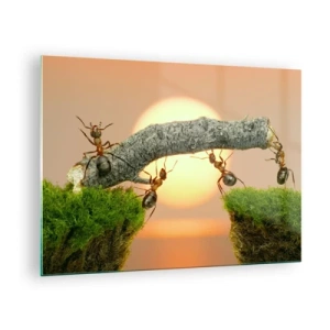 Obraz na szkle - Mrówki budujące most o zachodzie słońca - 70x50cm - Radosna, wspólna praca - Nowoczesna dekoracja ścienna do salonu i sypialni ARTTOR