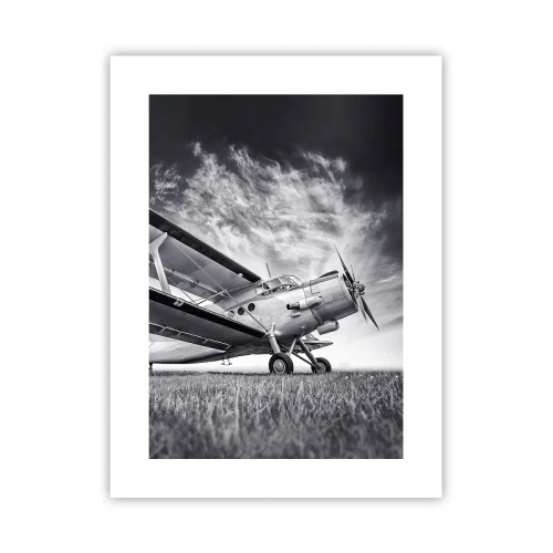 Plakat - Skrzydlaty wędrowiec - 30x40 cm