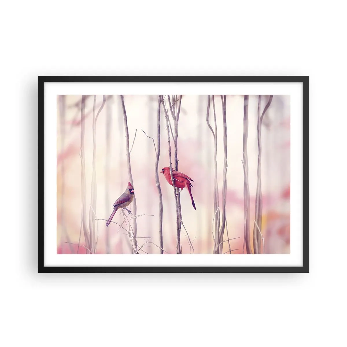 Plakat w czarnej ramie - Para kardynałów na gałęziach w pastelowym krajobrazie - 70x50cm - Opowieść różowego lasu - Nowoczesna dekoracja ścienna do salonu i sypialni ARTTOR