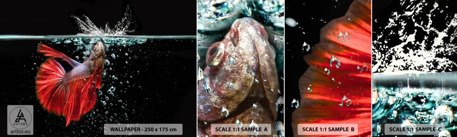 Fototapeta Próbka Standard Eco - Masz trzy życzenia - Abstrakcja, Akwarium, Ryba - 100x30 cm