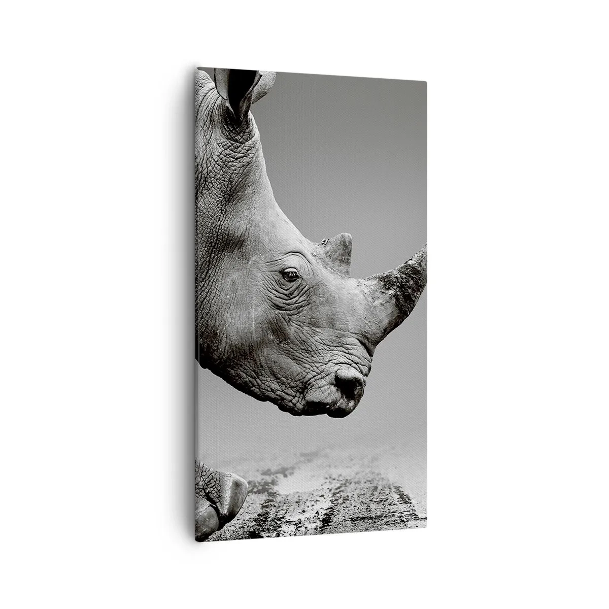 Obraz na płótnie - Niepowstrzymana siła - 55x100 cm