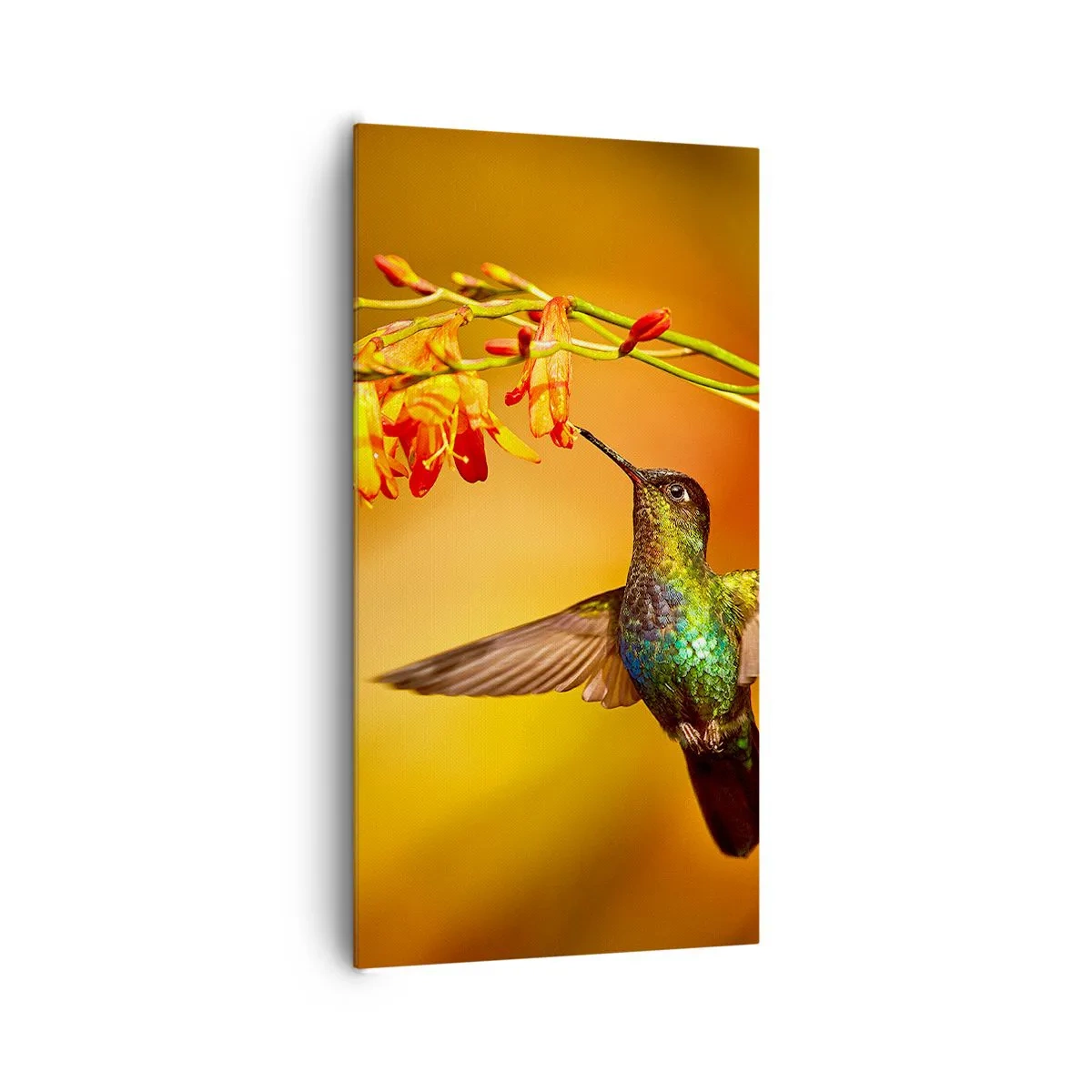 Obraz na płótnie - Posłaniec światła wg Majów - 65x120 cm