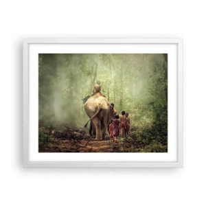 Plakat w białej ramie - Nowa Księga Dżungli - 50x40 cm