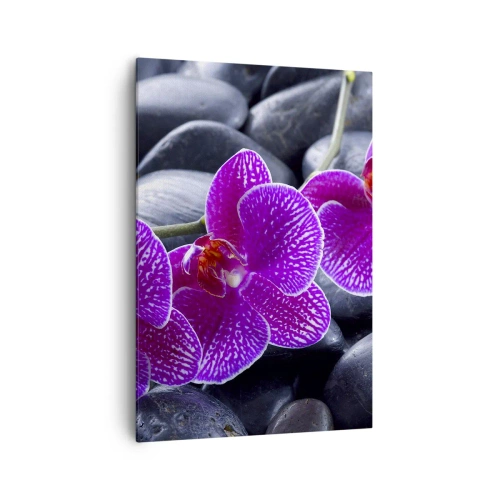 Obraz na płótnie - Fioletowe orchidee na tle czarnych kamieni - 70x100cm - Kamienie pojaśniały z zachwytu - Nowoczesna dekoracja ścienna do salonu i sypialni ARTTOR