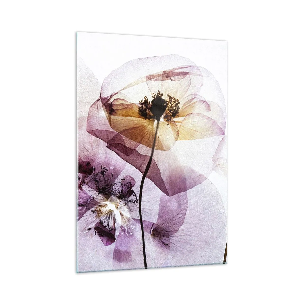 Obraz na szkle - Delikatne kwiaty w przezroczystych pastelowych barwach na jasnym tle - 50x70cm - Kwiatów ciała przezrocze - Nowoczesna dekoracja ścienna do salonu, kuchni i sypialni ARTTOR