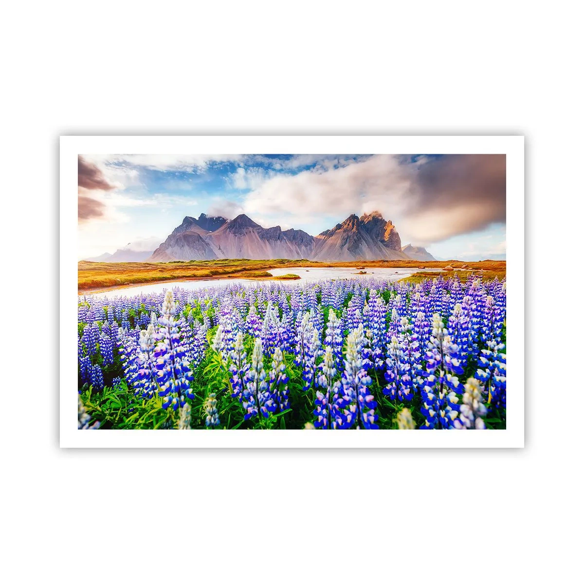 Plakat - Siła i surowość obok łagodności - 91x61 cm