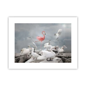 Plakat - Skąd się tu wziąłem? - 40x30 cm