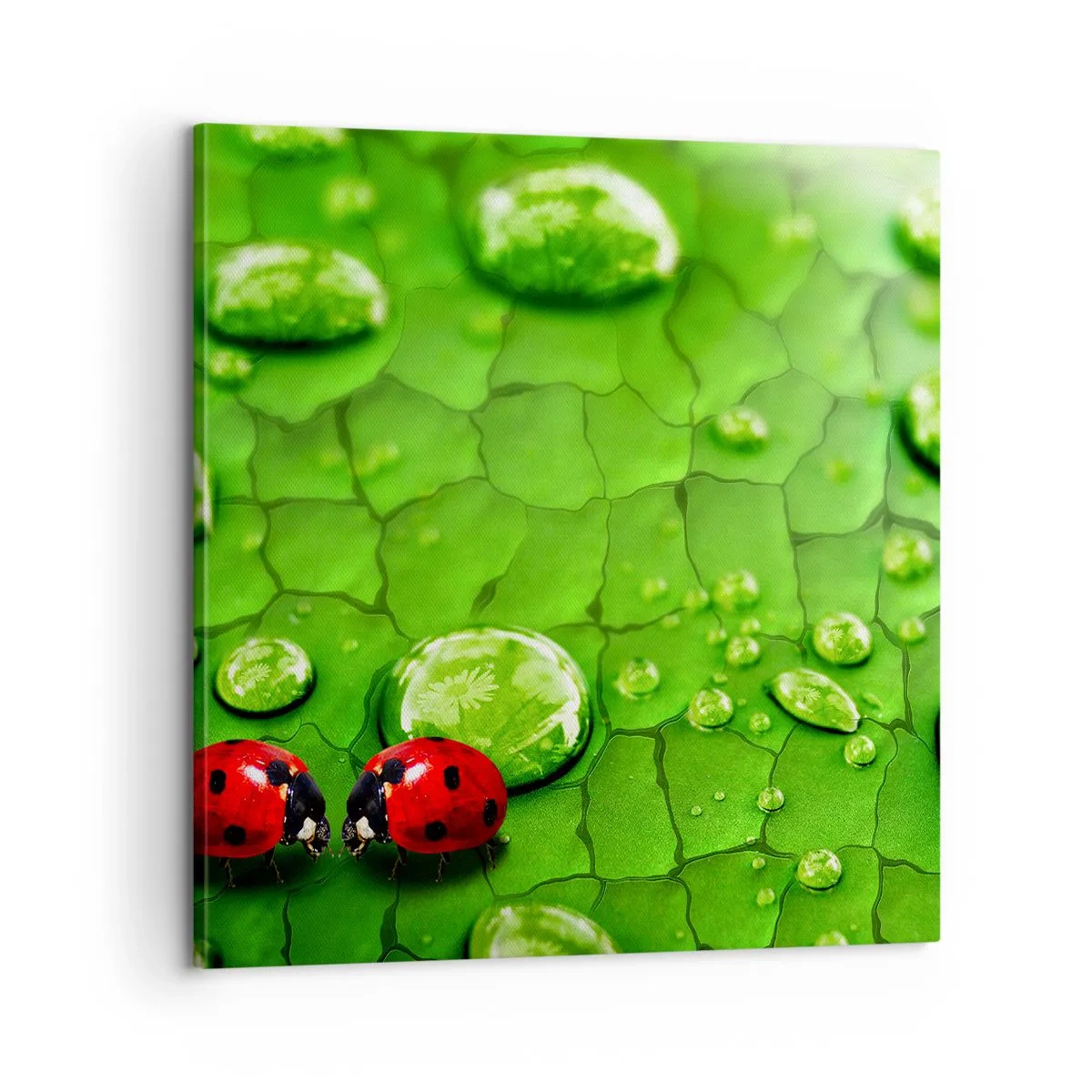 Obraz na płótnie - Spotkanie w zieleni - 60x60 cm
