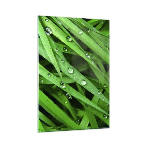 Obraz na szkle - Zielone źdźbła trawy z kroplami rosy w zbliżeniu - 80x120cm - Zagraj w zielone - Nowoczesna dekoracja ścienna do salonu i sypialni ARTTOR