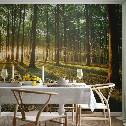 Fototapeta Standard Eco - Las oświetlony promieniami zachodzącego słońca - 100x70cm - Fotografia wszystkich wiosen - Nowoczesna dekoracja ścienna do salonu i sypialni ARTTOR