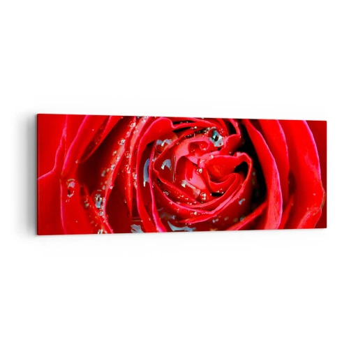 Obraz na płótnie - Czerwona róża w zbliżeniu z kroplami wody na płatkach - 140x50cm - W kroplach rosy - Nowoczesna dekoracja ścienna do salonu i sypialni ARTTOR