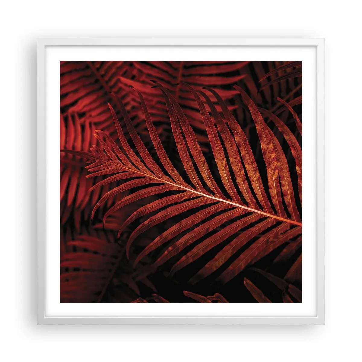 Plakat w białej ramie - Żar życia - 60x60 cm
