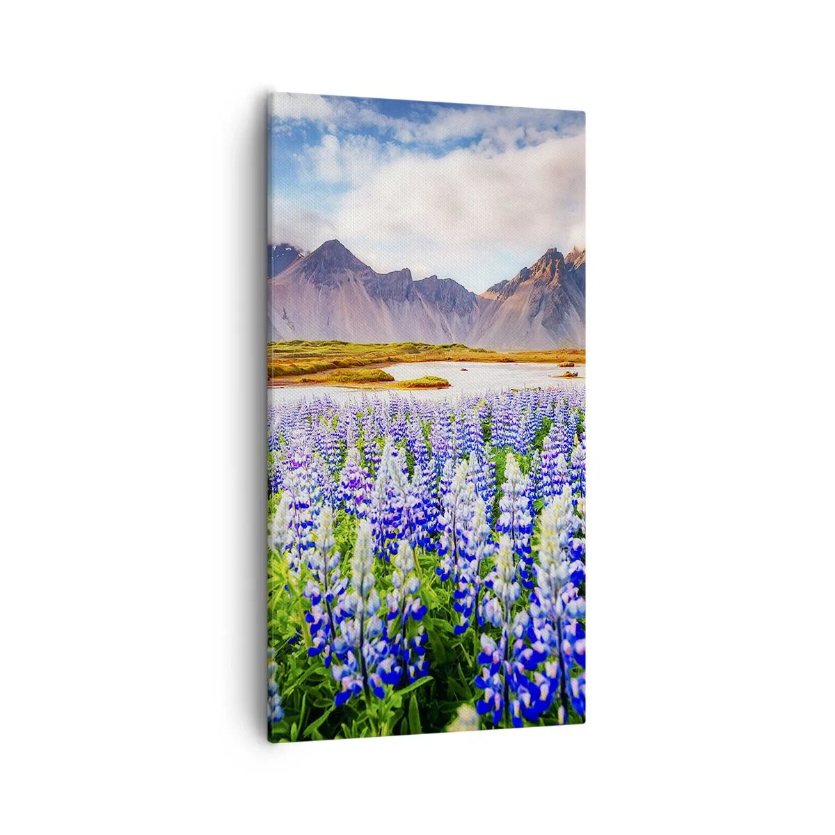 Obraz na płótnie - Siła i surowość obok łagodności - 55x100 cm