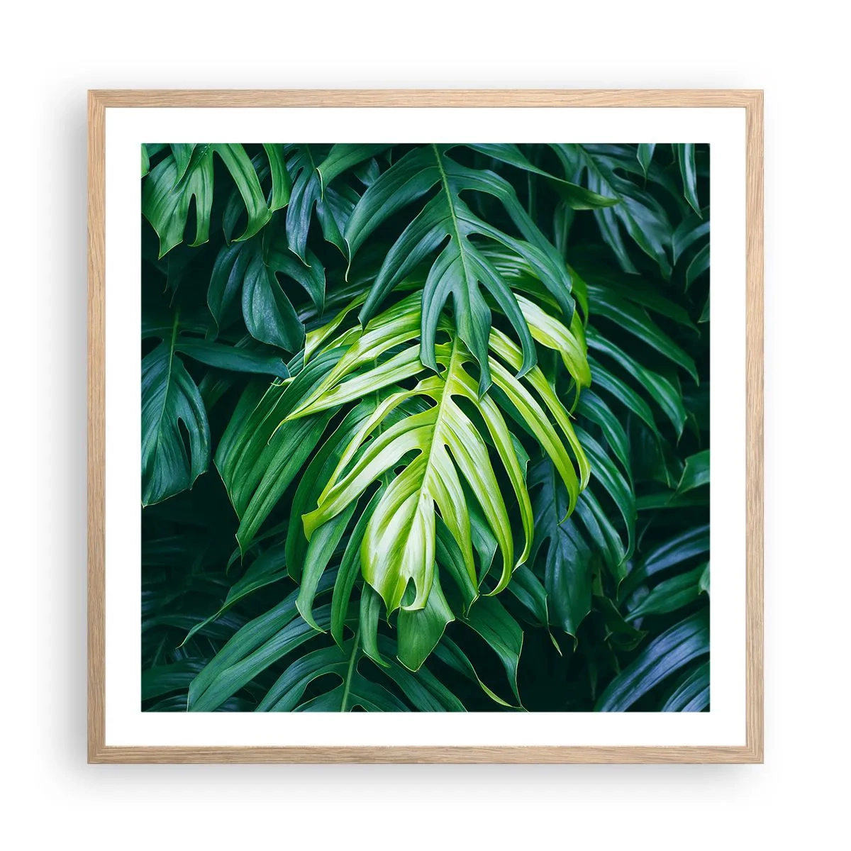 Plakat w ramie jasny dąb - Zanurzyć się w świeżości - 60x60 cm