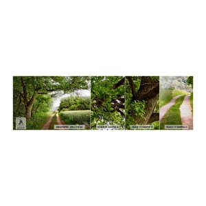 Fototapeta Próbka Premium Sand - Et in Arcadia ego - Krajobraz, Polna Droga , Natura - 100x30 cm