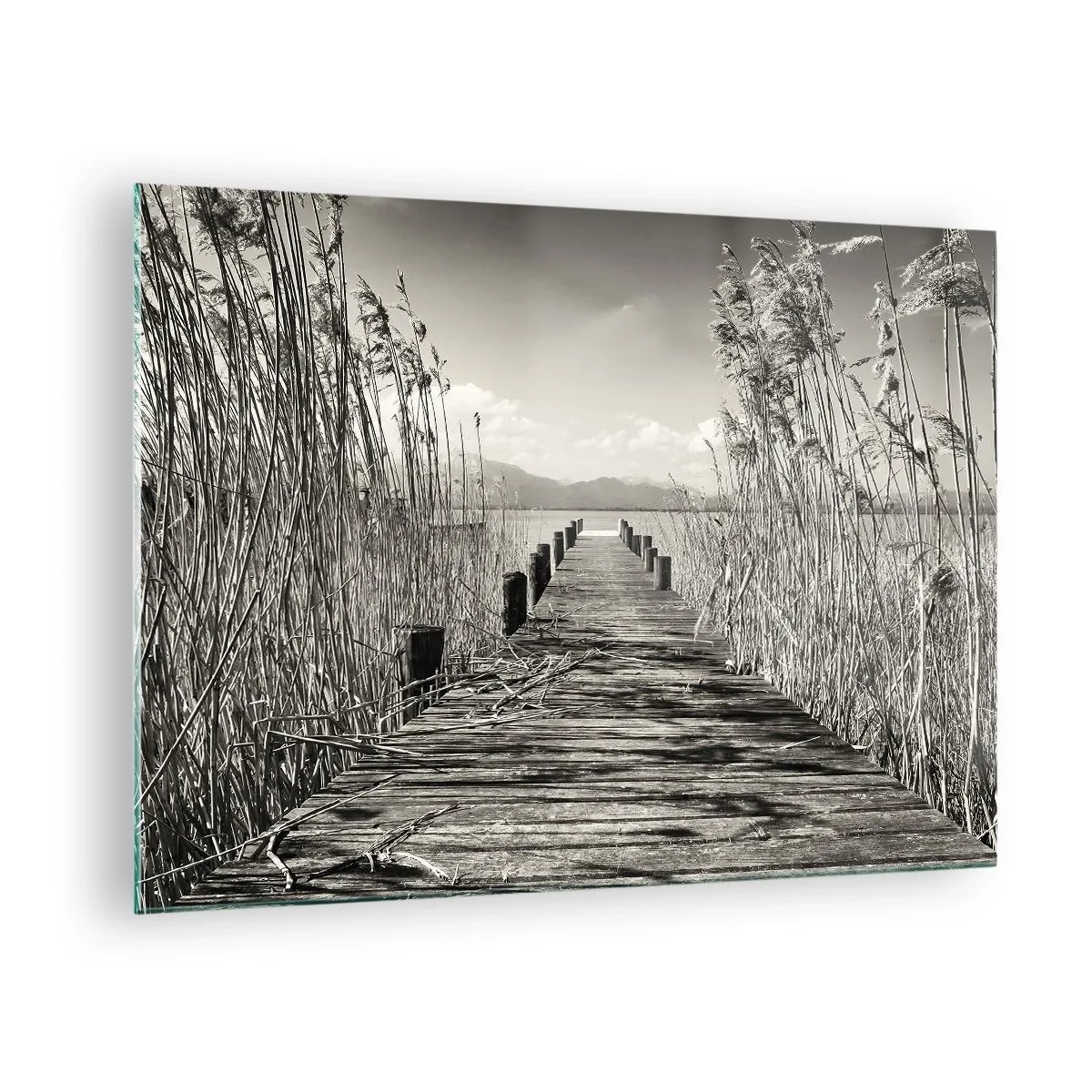 Obraz na szkle - Drewniany pomost prowadzący przez trawy nad spokojnym jeziorem - 70x50cm - W zaciszu traw - Nowoczesna dekoracja ścienna do salonu i sypialni ARTTOR
