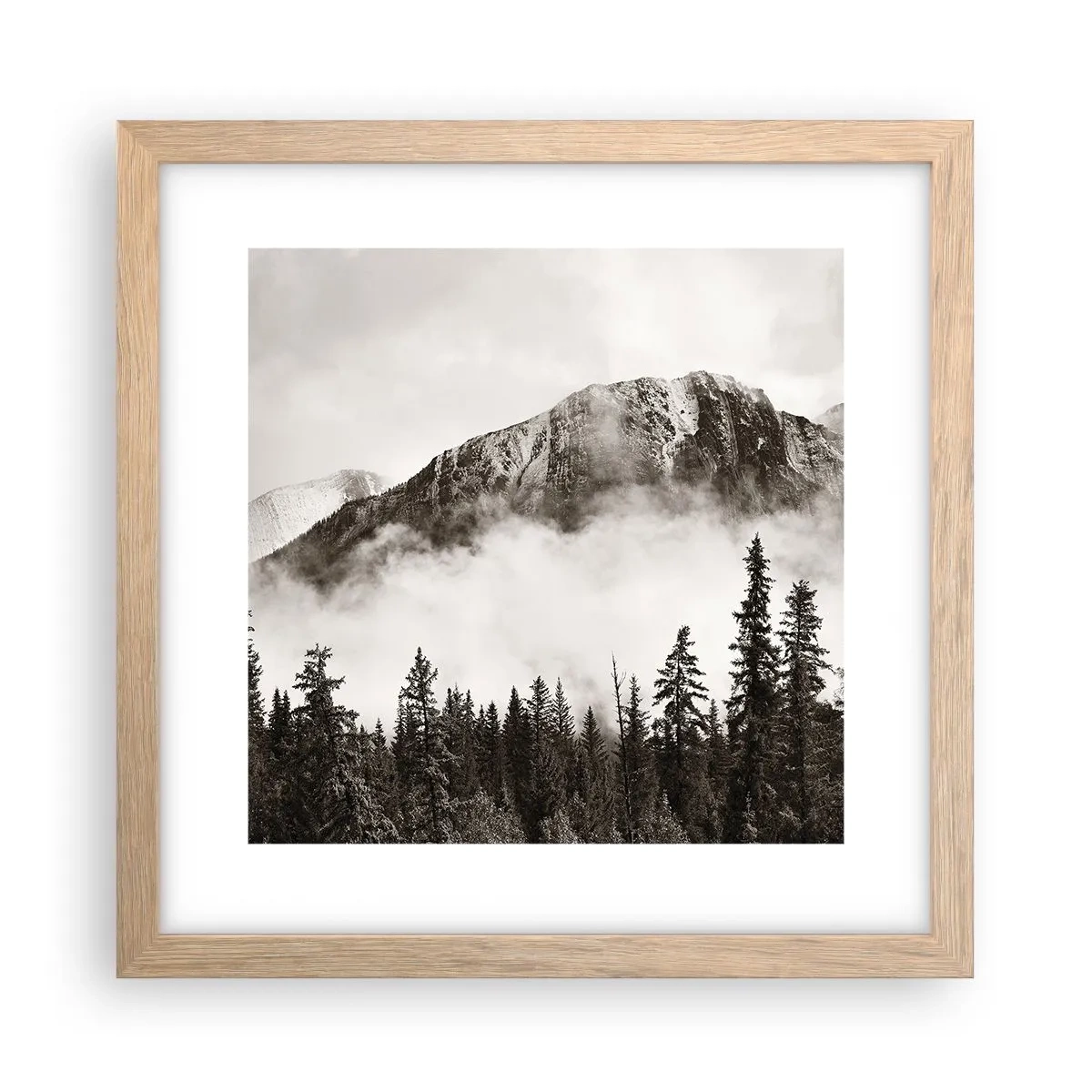 Plakat w ramie jasny dąb - Granitowy władca - 30x30 cm