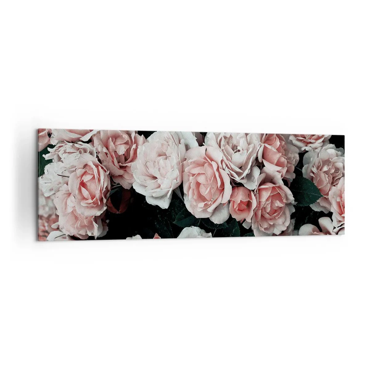 Obraz na płótnie - Różowe róże na ciemnym tle w subtelnej kompozycji - 160x50cm - Różany ansamble - Nowoczesna dekoracja ścienna do salonu i sypialni ARTTOR