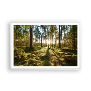Plakat w białej ramie - …Za siedmioma lasami - 91x61 cm
