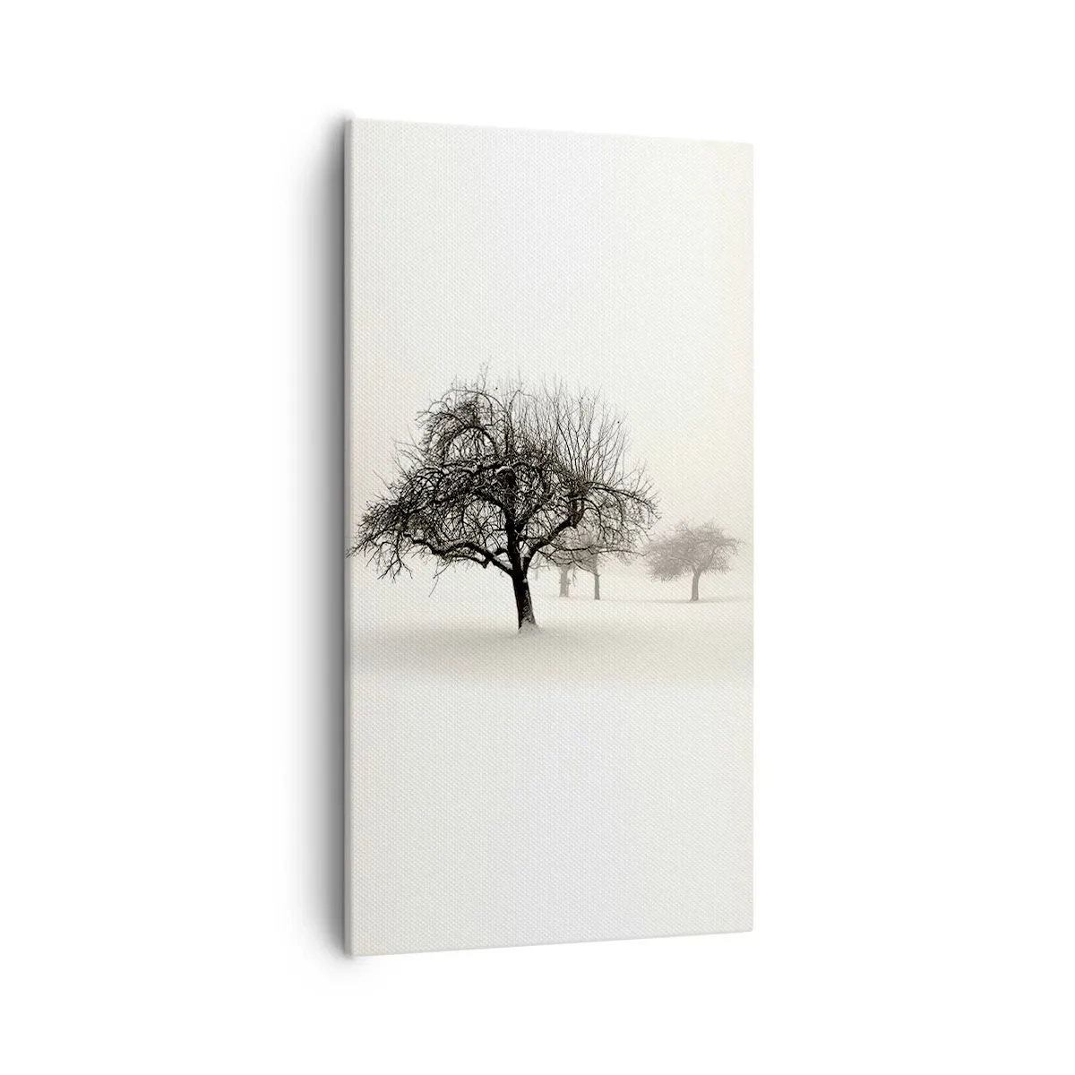 Obraz na płótnie - Zimowy sen - 55x100 cm