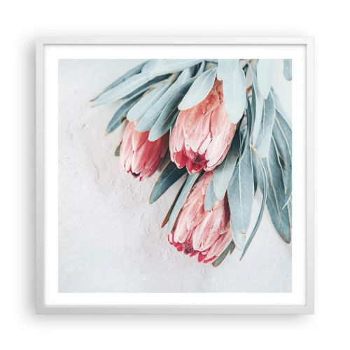 Plakat w białej ramie - Zawstydzone własną urodą - 60x60 cm