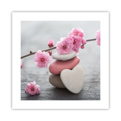 Plakat - Błogość z kwiatem wiśni - 40x40 cm
