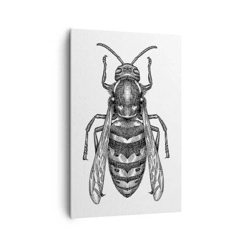 Obraz na płótnie - Rysunkowy motyw osy na białym tle w stylu minimalistycznym - 80x120cm - Z owadziej planety - Nowoczesna dekoracja ścienna do salonu i sypialni ARTTOR