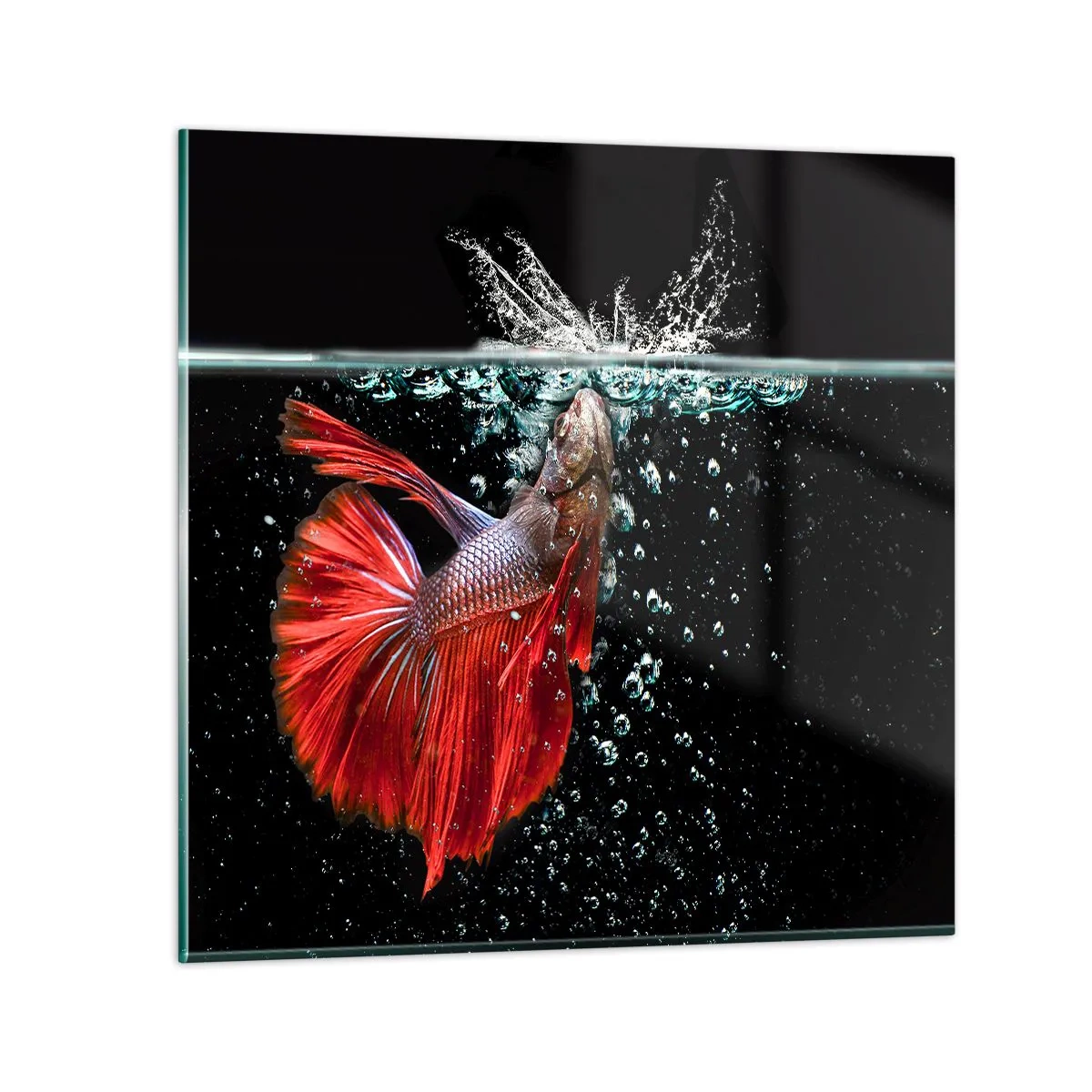 Obraz na szkle - Masz trzy życzenia - 40x40 cm