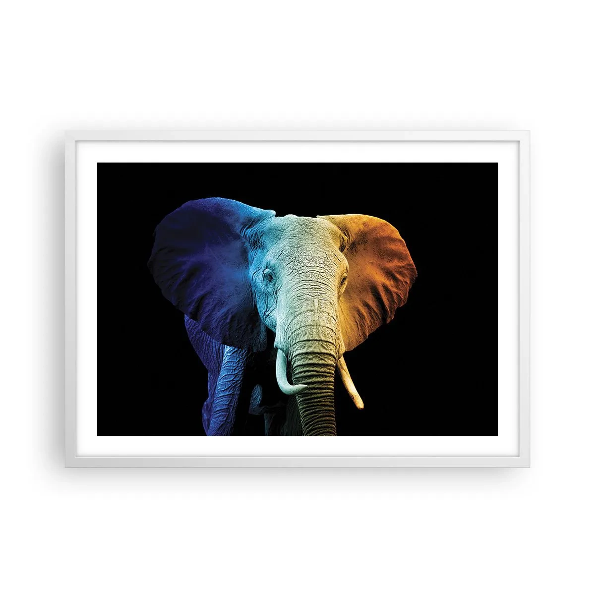 Plakat w białej ramie - Ekscentryk, nie dziwak - 70x50 cm