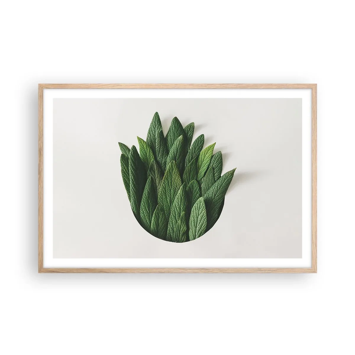 Plakat w ramie jasny dąb - Nieposkromiona ciekawość - 91x61 cm