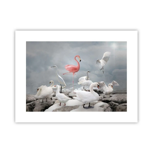 Plakat - Skąd się tu wziąłem? - 40x30 cm