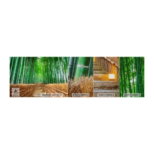 Fototapeta Próbka Premium Sand - Esencja azjatyckiej natury - Bambus, Las Bambusowy, Natura - 100x30 cm