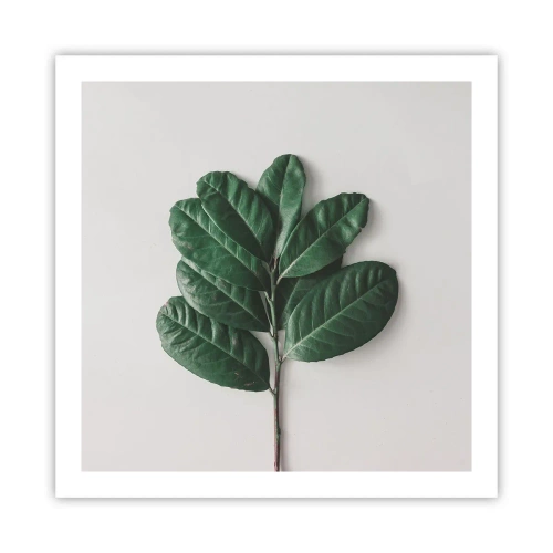 Plakat - Rysunek samej natury - 60x60 cm
