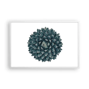 Plakat w białej ramie - Gwiazda pustyni - 91x61 cm