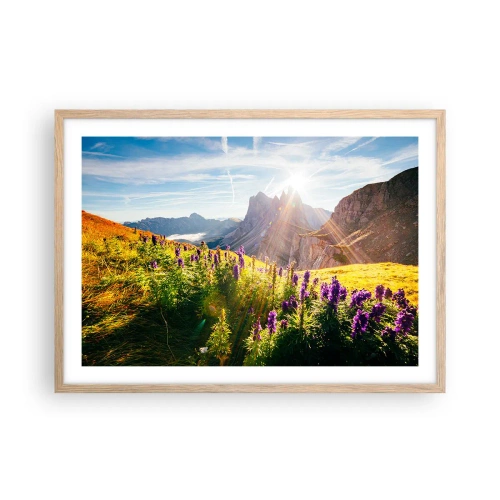 Plakat w ramie jasny dąb - Sekretne życie ziół - 70x50 cm