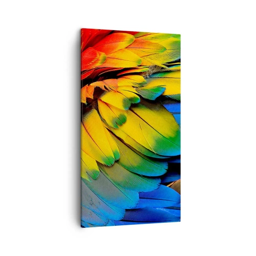 Obraz na płótnie - Rajski ptak - 45x80 cm