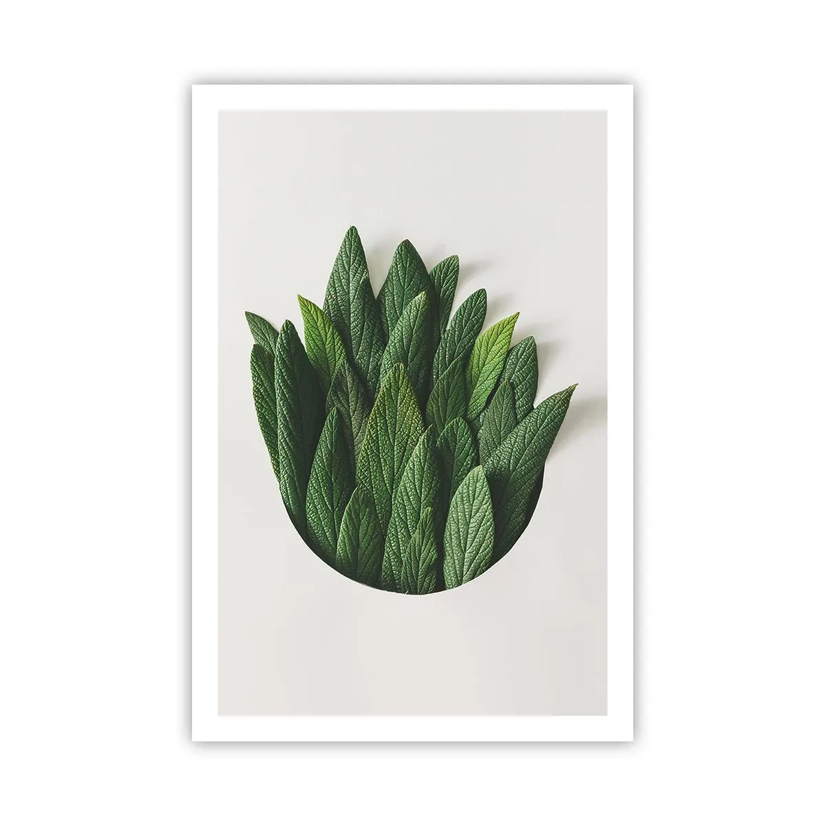 Plakat - Nieposkromiona ciekawość - 61x91 cm