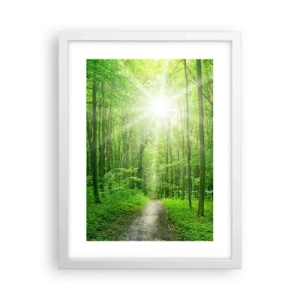 Plakat w białej ramie - Zielona katedra - 30x40 cm