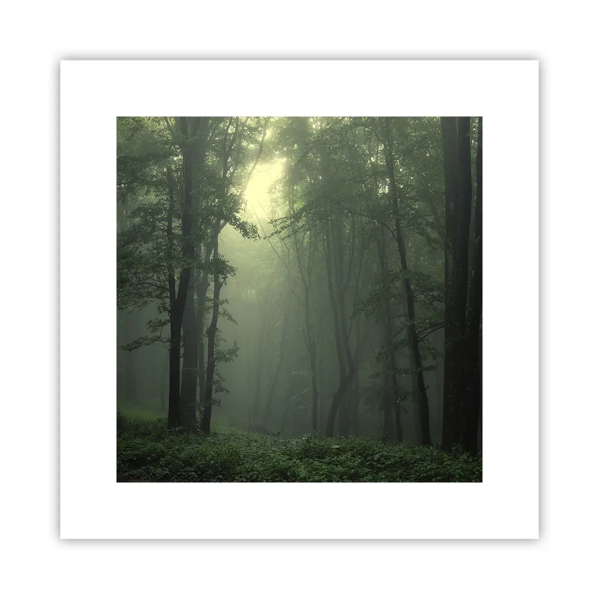 Plakat - Zanim się obudzi - 30x30 cm