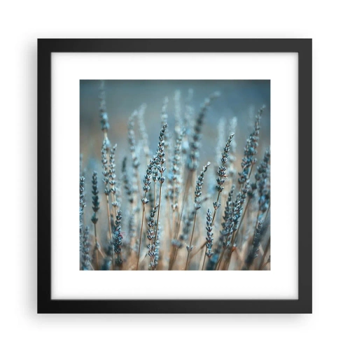 Plakat w czarnej ramie - Pachnący łan - 30x30 cm