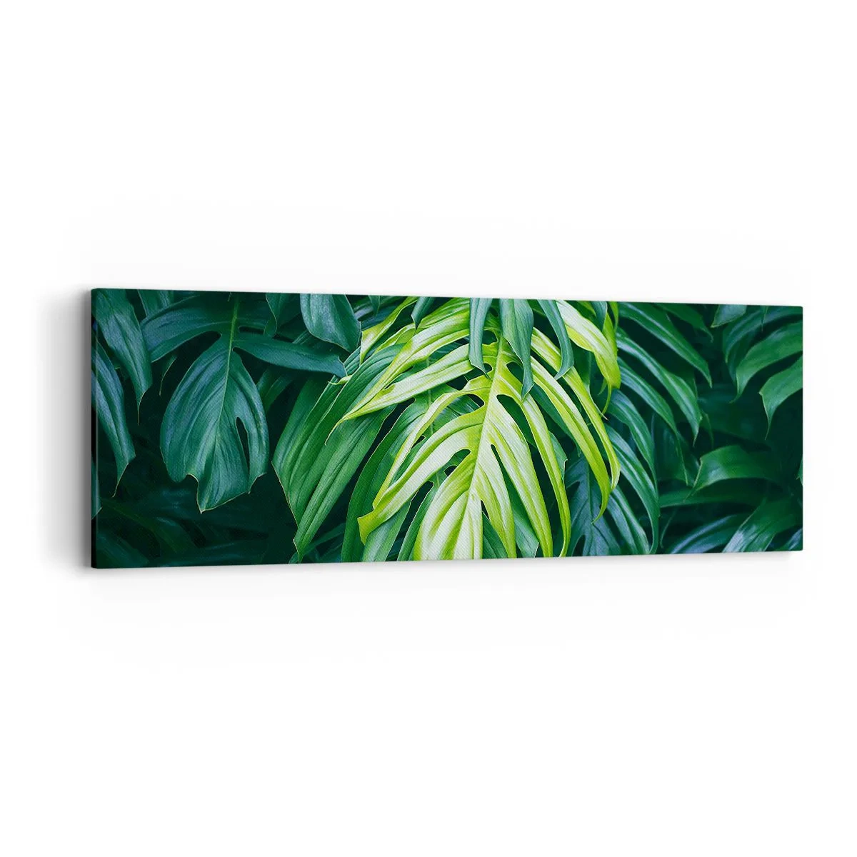 Obraz na płótnie - Zanurzyć się w świeżości - 90x30 cm