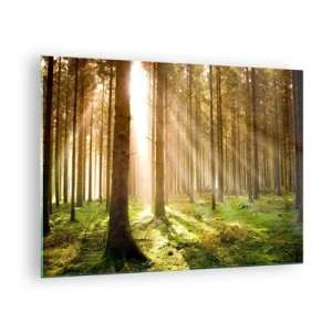 Obraz na szkle - Promienie słońca przenikające przez drzewa w lesie - 70x50cm - Zaraz pojawią się elfy - Nowoczesna dekoracja ścienna do salonu i sypialni ARTTOR