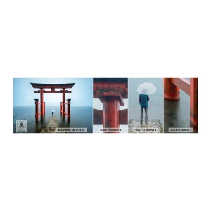 Fototapeta Próbka Premium Canvas - Japońska zaduma - Azja, Świątynia Hakone, Japonia - 100x30 cm