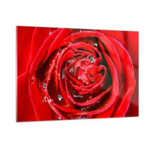 Obraz na szkle - Zbliżenie na czerwoną różę z kroplami rosy - 120x80cm - W kroplach rosy - Nowoczesna dekoracja ścienna do salonu, kuchni i sypialni ARTTOR