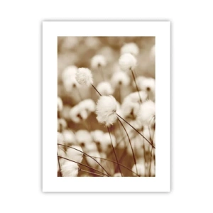 Plakat - Puszysty łan - 30x40 cm