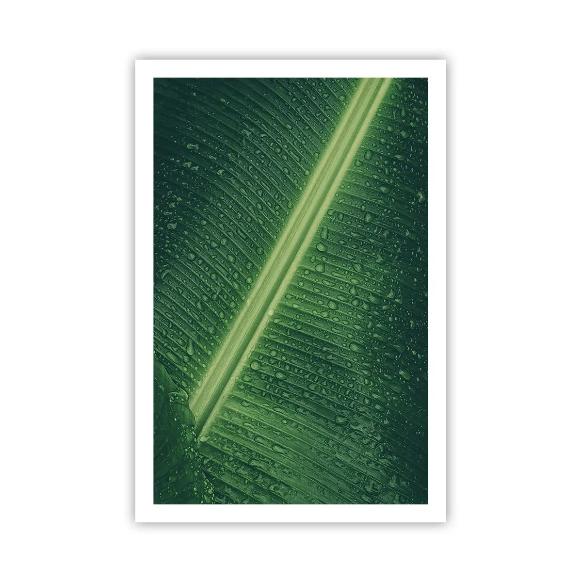 Plakat - Struktura zieleni - 61x91 cm