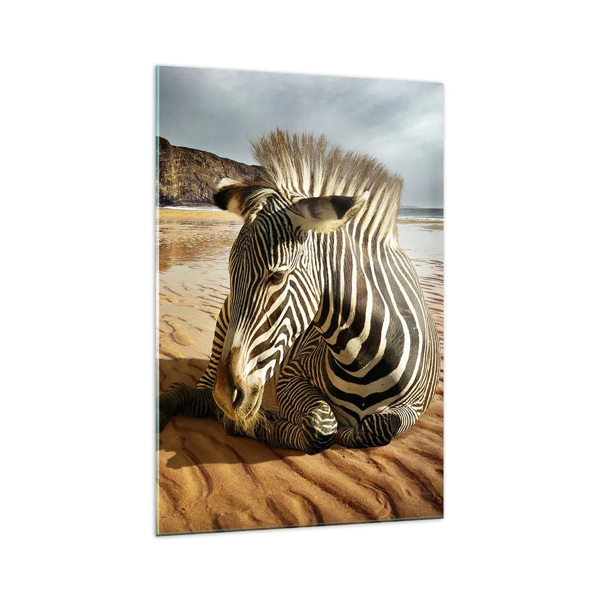 Obraz na szkle - Zebra odpoczywająca na piaszczystej plaży z klifami w tle - 70x100cm - Pasujemy do siebie - Nowoczesna dekoracja ścienna do salonu i sypialni ARTTOR
